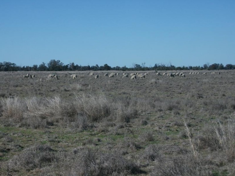 4 Kurumbul Rd, Yelarbon QLD 4388