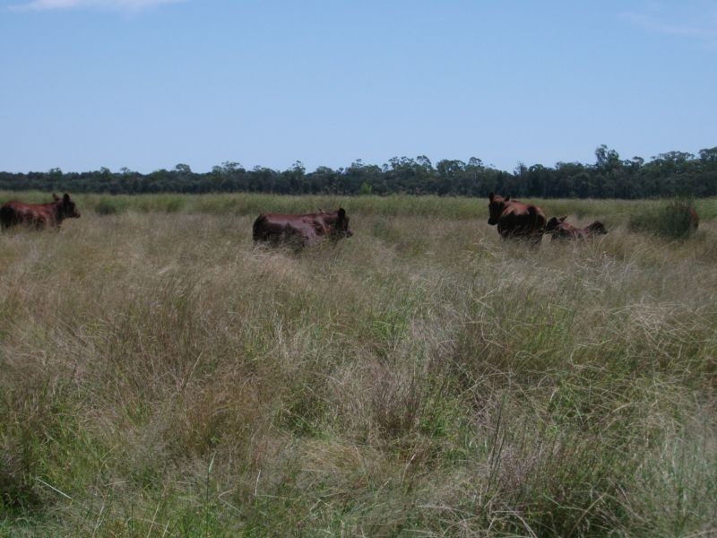 Goondiwindi QLD 4390