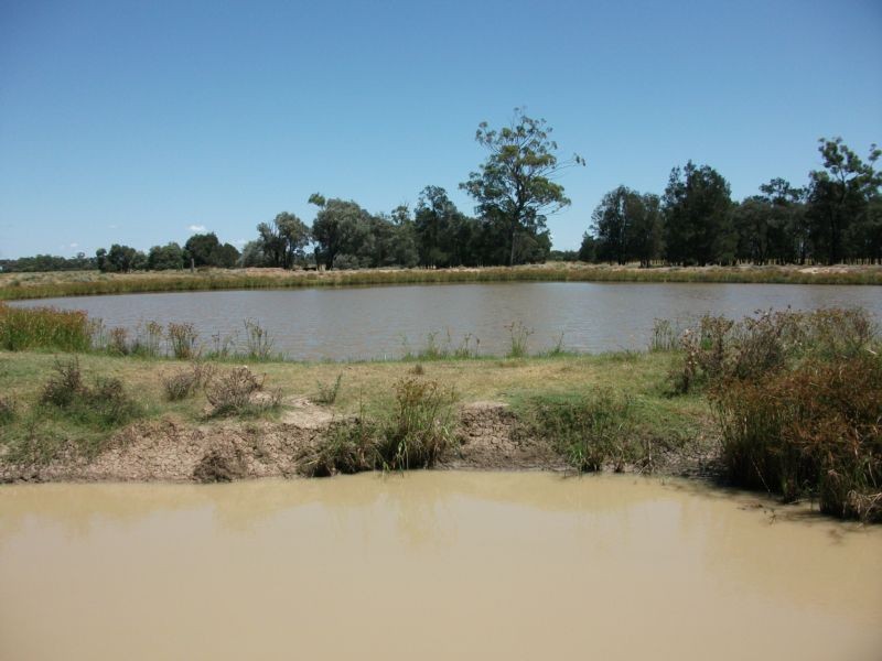 Goondiwindi QLD 4390