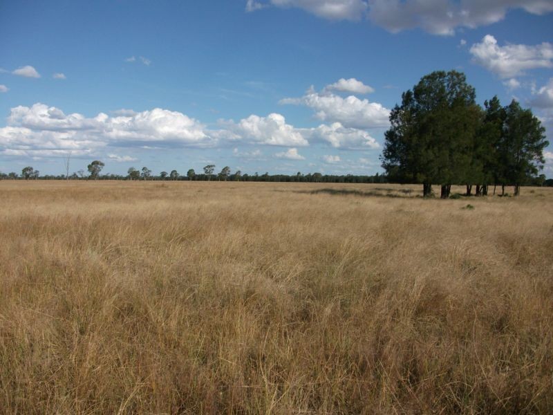 Goondiwindi QLD 4390