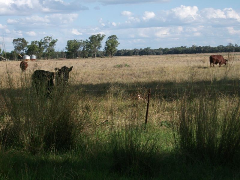 Goondiwindi QLD 4390