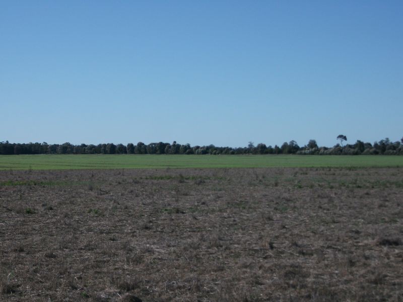 Goondiwindi QLD 4390