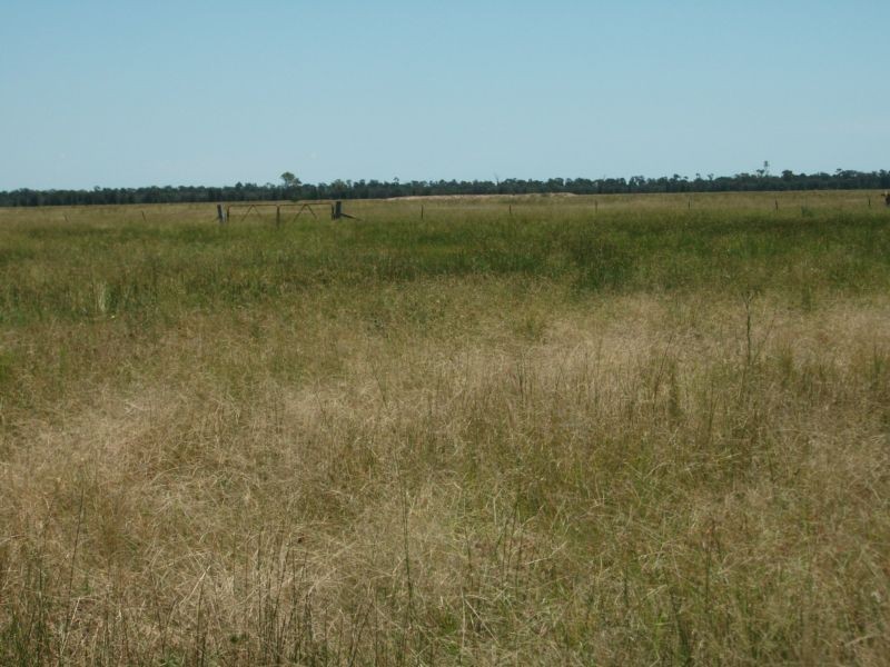 Goondiwindi QLD 4390