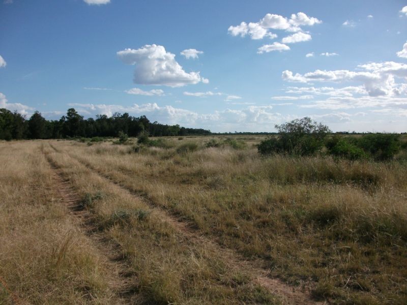 Goondiwindi QLD 4390