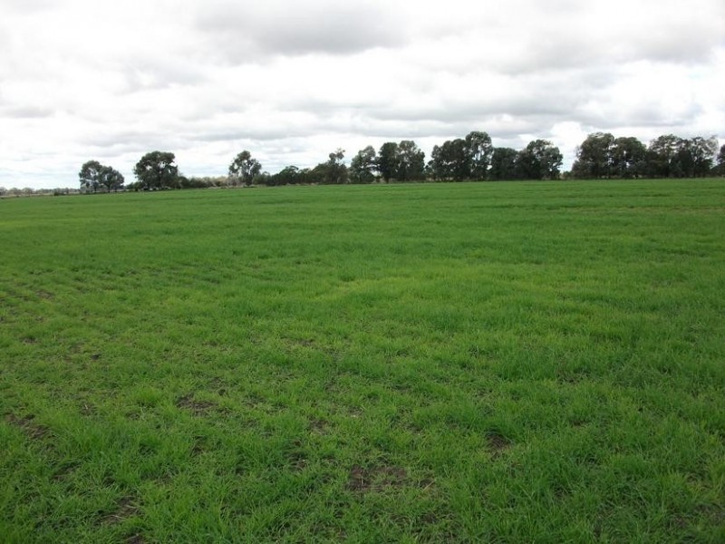 Goondiwindi QLD 4390