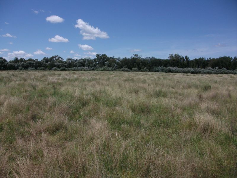 Goondiwindi QLD 4390