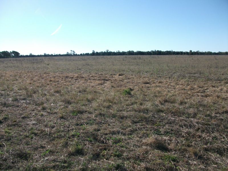 Goondiwindi QLD 4390