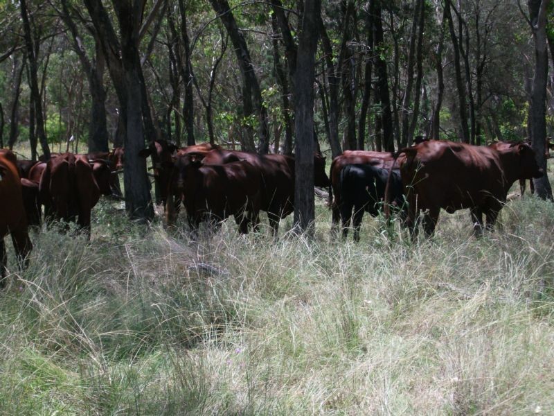 Goondiwindi QLD 4390