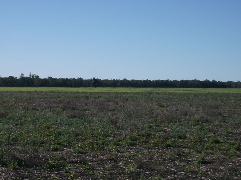 Goondiwindi QLD 4390