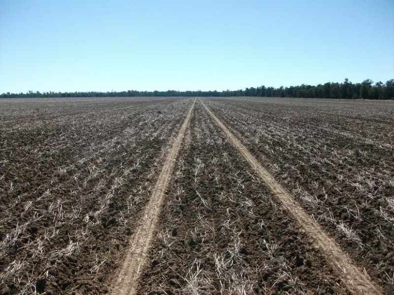 Goondiwindi QLD 4390