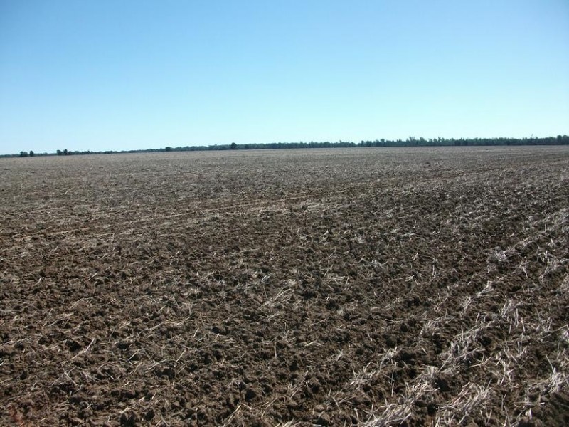 Goondiwindi QLD 4390