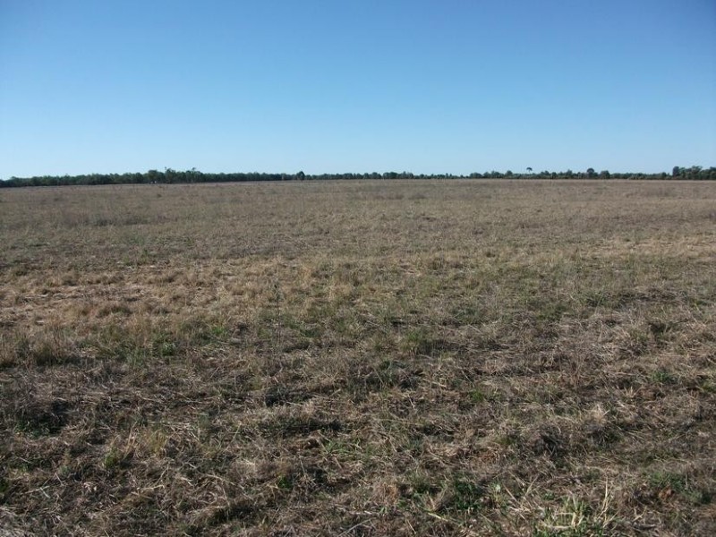 Goondiwindi QLD 4390