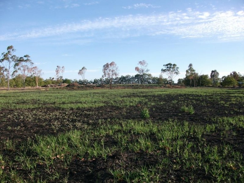 Goondiwindi QLD 4390