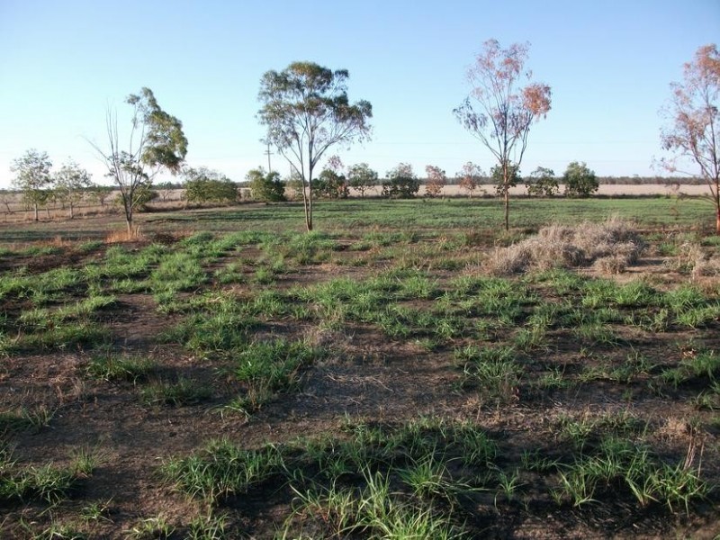 Goondiwindi QLD 4390