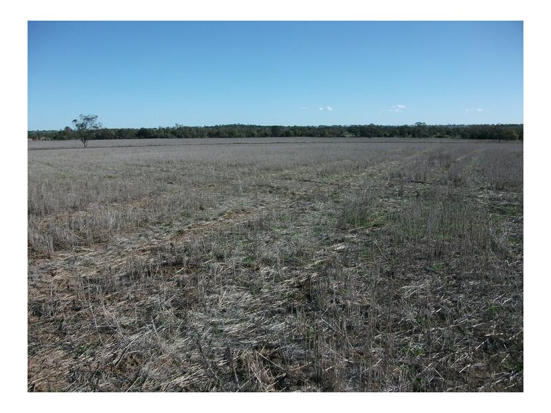 14 Warialda Rd, North Star NSW 2408