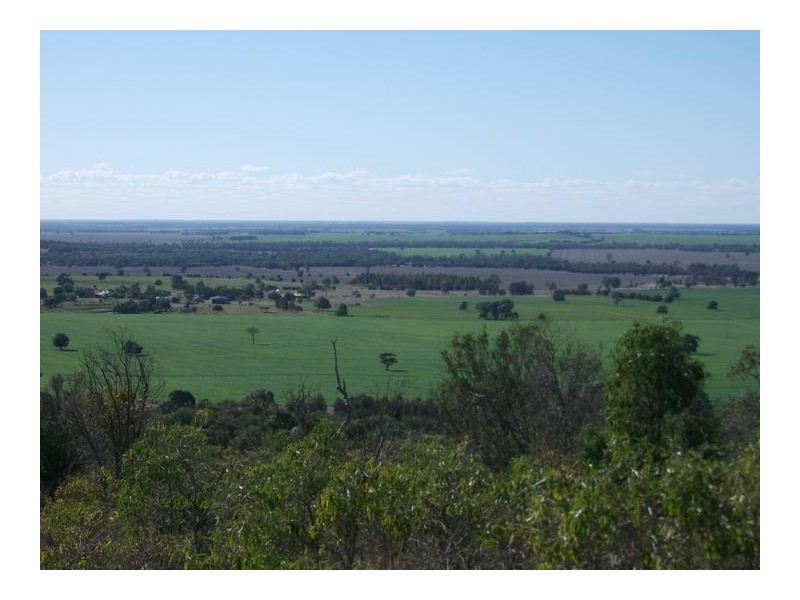 14 Warialda Rd, North Star NSW 2408