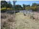 372 Bamblings Rd, Texas NSW 4385