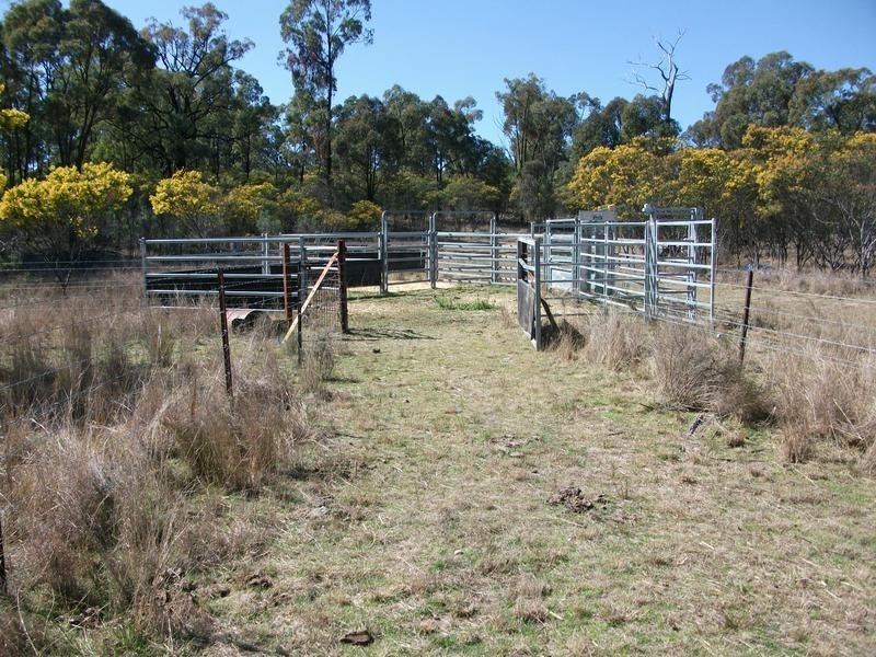 372 Bamblings Rd, Texas NSW 4385