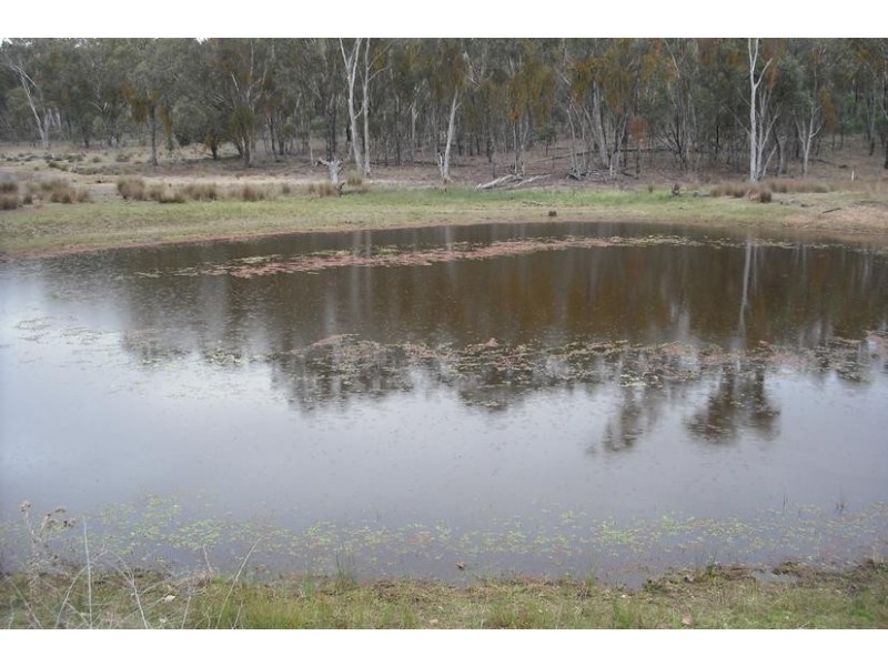 372 Bamblings Rd, Texas NSW 4385