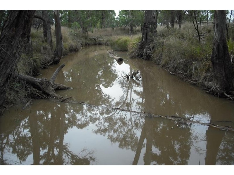 372 Bamblings Rd, Texas NSW 4385