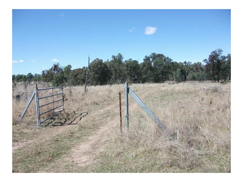 372 Bamblings Rd, Texas NSW 4385