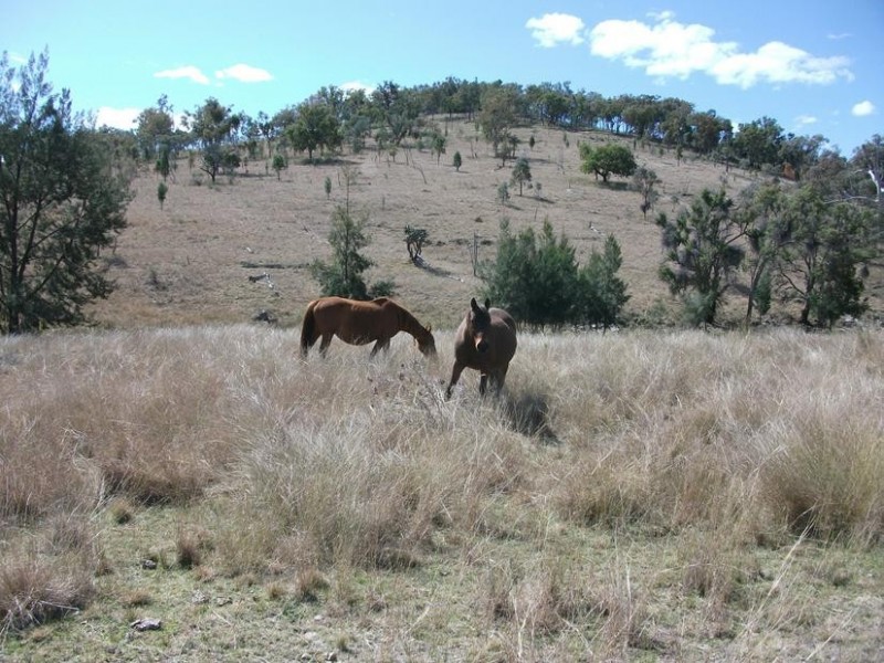 5 Rayners Rd, Texas NSW 4385