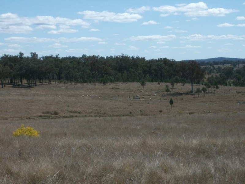 5 Rayners Rd, Texas NSW 4385