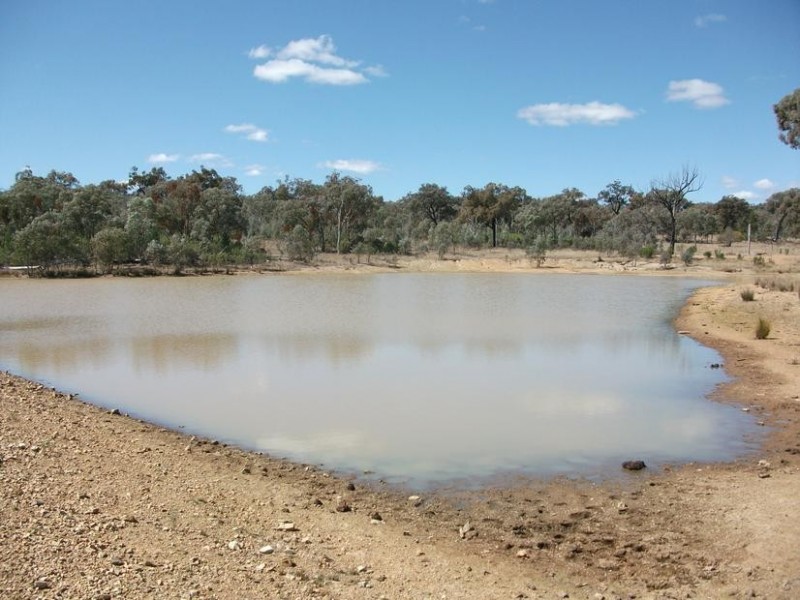 5 Rayners Rd, Texas NSW 4385