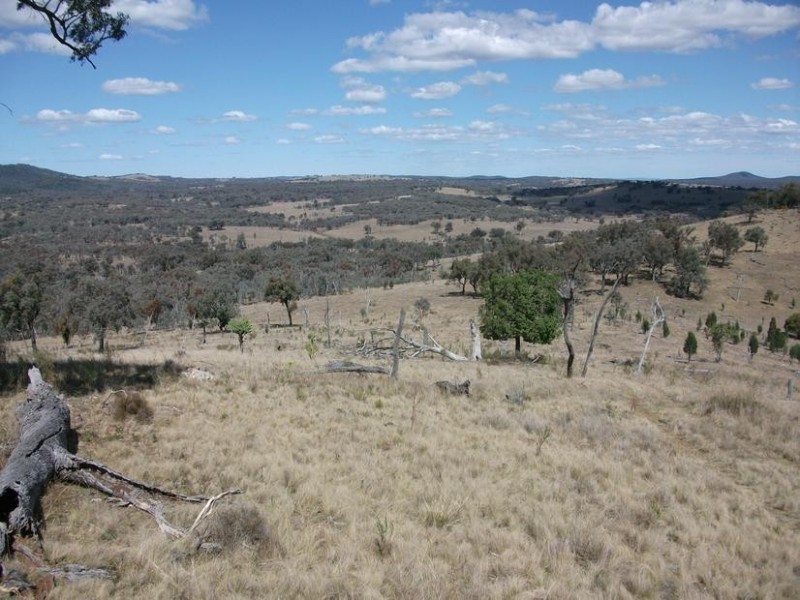 5 Rayners Rd, Texas NSW 4385