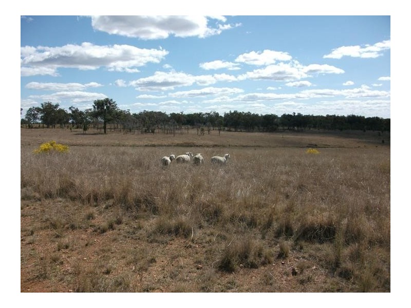 5 Rayners Rd, Texas NSW 4385