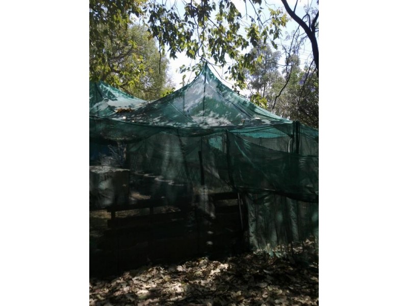 45 Merriwa St, Boggabilla NSW 2409