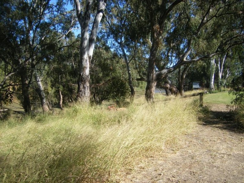 Goondiwindi QLD 4390