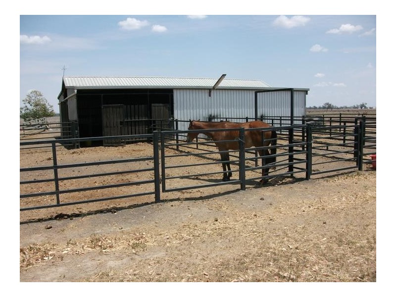 Mooroobie Lane, Goondiwindi QLD 4390