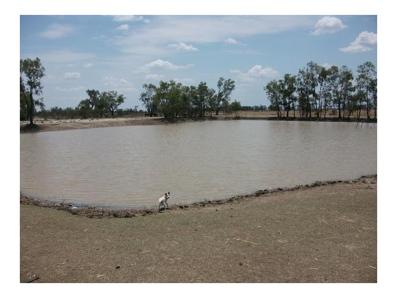 Mooroobie Lane, Goondiwindi QLD 4390