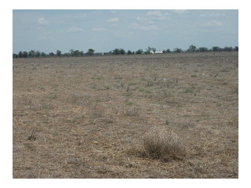 Mooroobie Lane, Goondiwindi QLD 4390