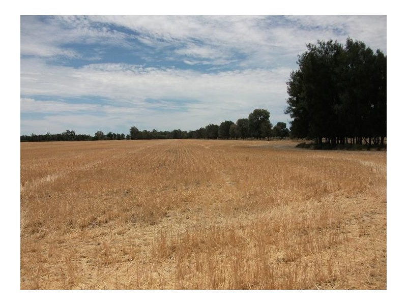 Cunningham Hwy, Goondiwindi QLD 4390