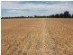 Cunningham Hwy, Goondiwindi QLD 4390