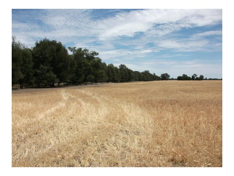 Cunningham Hwy, Goondiwindi QLD 4390