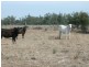 Cunningham Hwy, Goondiwindi QLD 4390