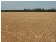 Cunningham Hwy, Goondiwindi QLD 4390