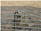 Cunningham Hwy, Goondiwindi QLD 4390