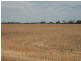Cunningham Hwy, Goondiwindi QLD 4390