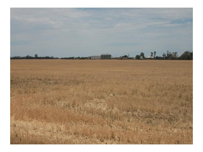 Cunningham Hwy, Goondiwindi QLD 4390