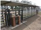 Cunningham Hwy, Goondiwindi QLD 4390