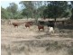 Cunningham Hwy, Goondiwindi QLD 4390