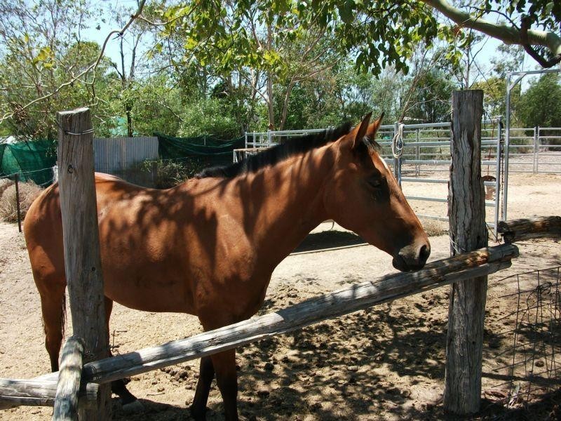 28 Polo Rd, Goondiwindi QLD 4390