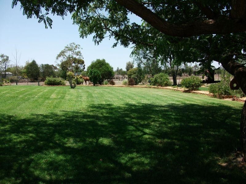 28 Polo Rd, Goondiwindi QLD 4390