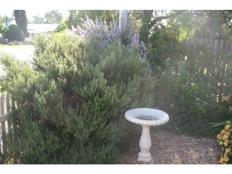 Goondiwindi QLD 4390