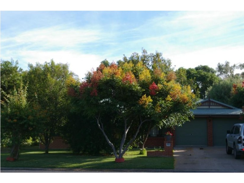 Goondiwindi QLD 4390