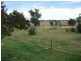 8 Malone St, Texas NSW 4385